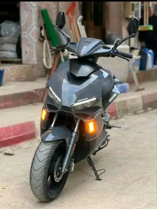 Vms dervir Vms 2024