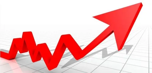 Invest in Algeria - Industrial investment - 