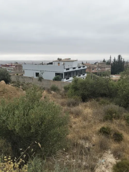 Vente Terrain Tlemcen Beni mester