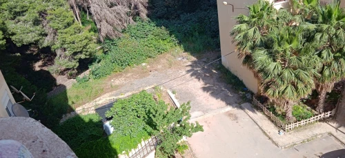 Vente Appartement F4 Tipaza Tipaza