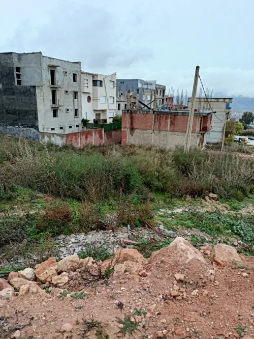 Vente Terrain Constantine Constantine