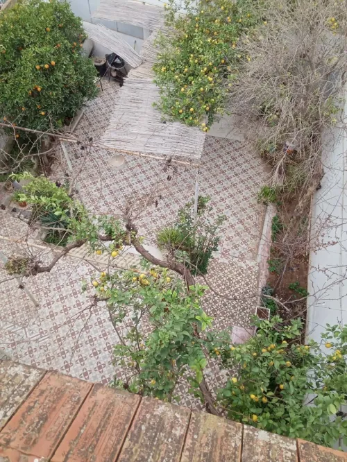 Vente Villa Tlemcen Mansourah