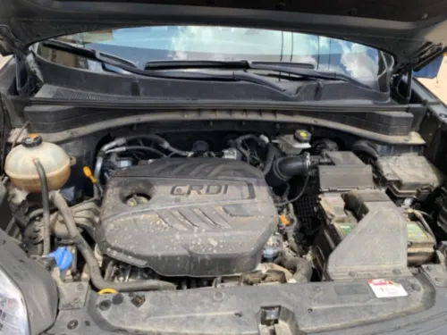 Kia Kia Sportage 2020 Kia Sportage