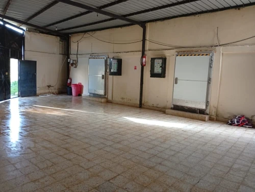 Location Hangar - Usine Alger Mahelma