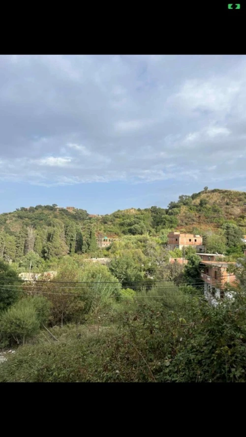 Vente Terrain Skikda Collo