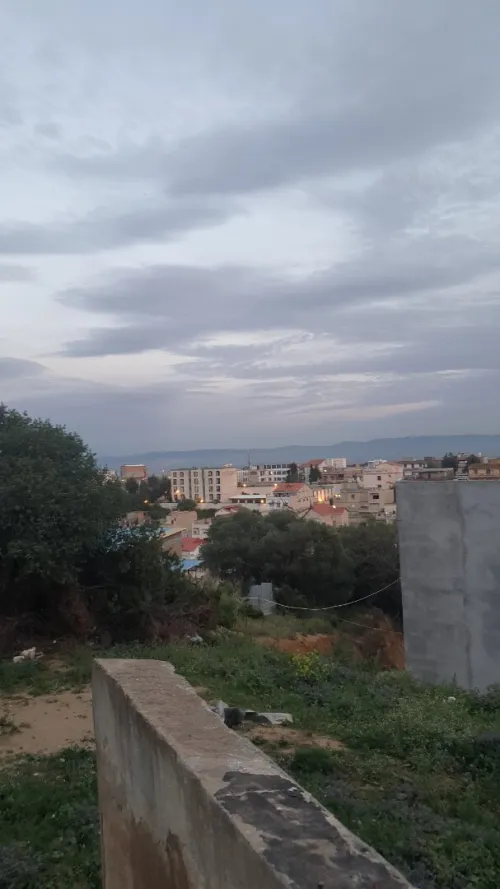 Vente Terrain Alger Bouzareah