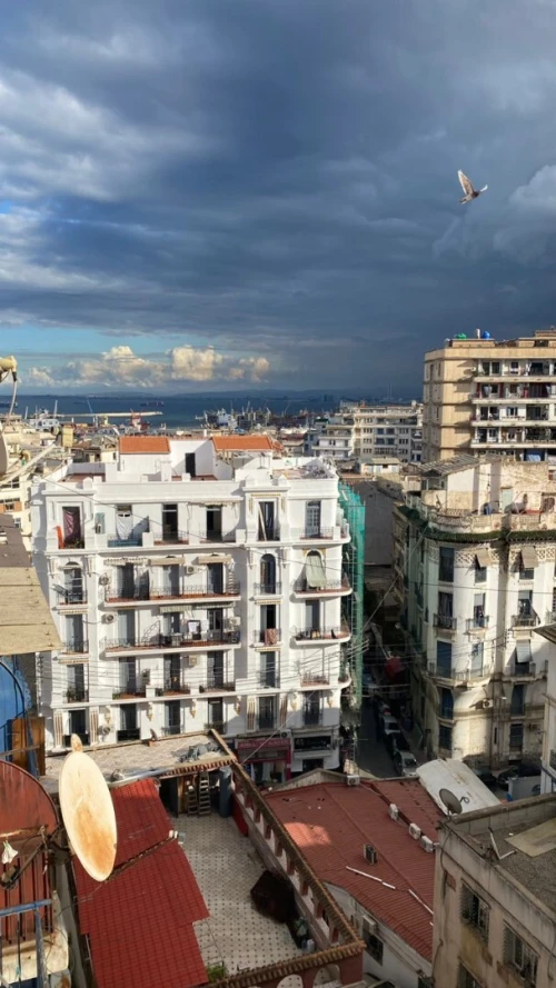 Vente Appartement F4 Alger Alger centre