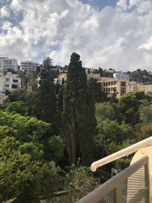 Location Appartement F4 Alger Alger centre