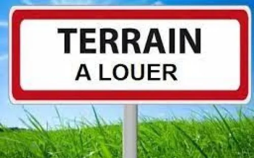 Location Terrain Oran Tafraoui