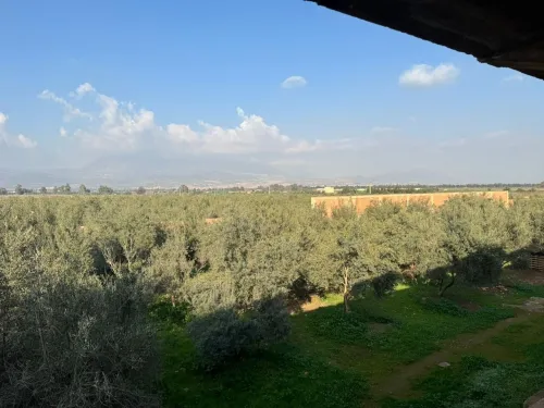Vente Terrain Agricole Aïn Defla Djelida