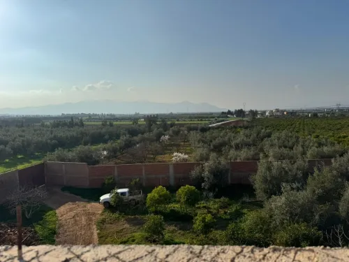 Vente Terrain Agricole Aïn Defla Djelida