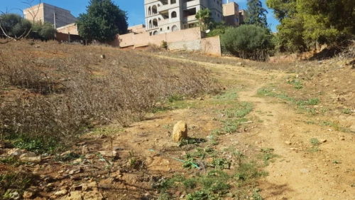 Vente Terrain Alger Saoula
