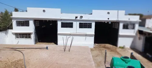 Vente Terrain Agricole Tlemcen Hennaya