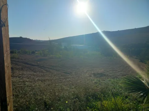 Vente Terrain Agricole Oran Ain el kerma