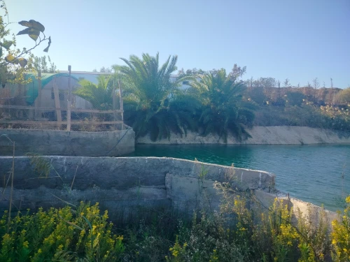 Vente Terrain Agricole Oran Ain el kerma