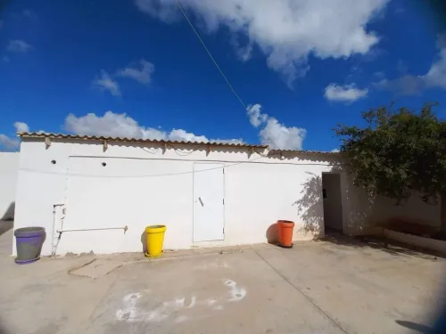Vente Hangar Aïn Témouchent El malah