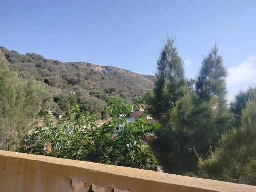 Location vacances Villa Oran El ançor 3