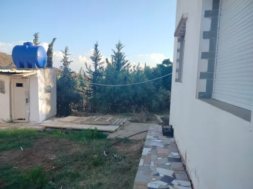 Vente Terrain Agricole Oran Ain el kerma