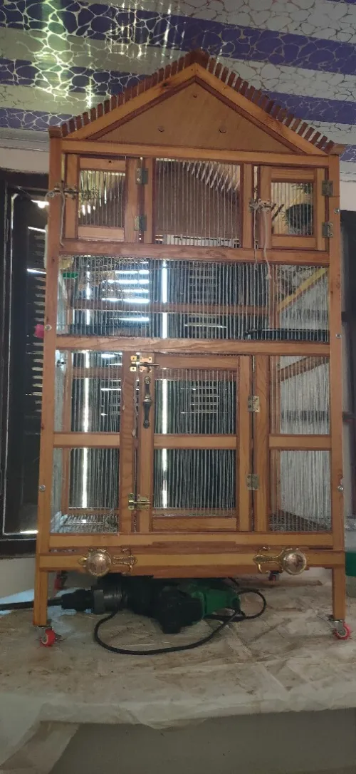 Cage volière 