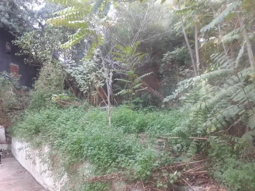 Vente Villa Skikda Skikda