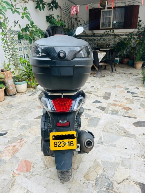 Flash twister vms Flash twister 2023