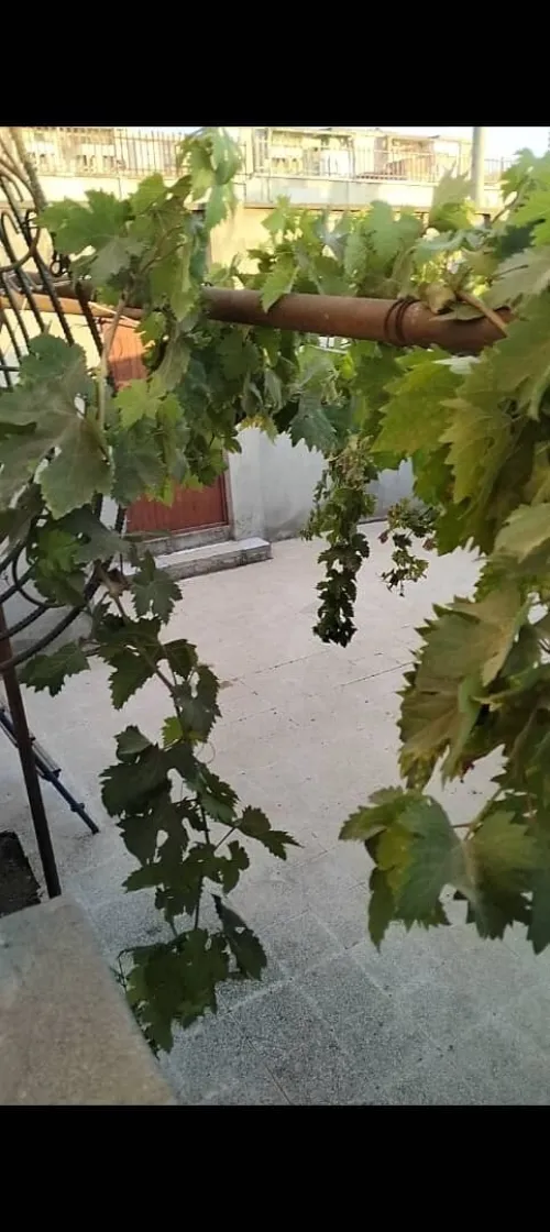 Vente Bungalow F4 Boumerdès Djinet