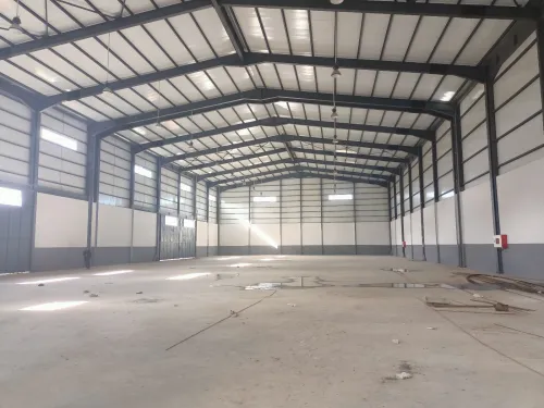 Location Hangar Alger Les eucalyptus