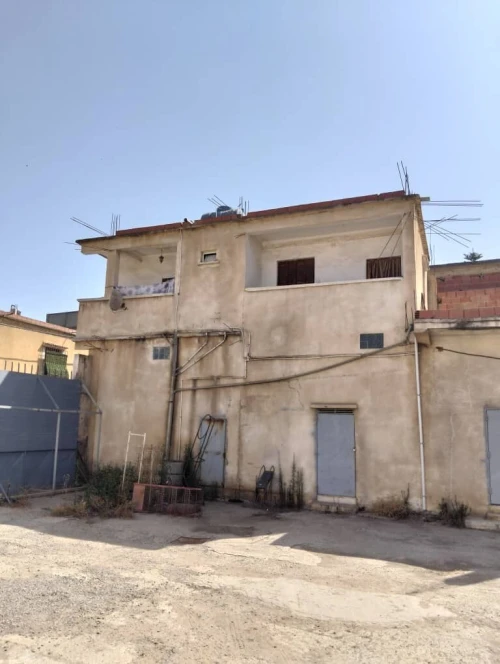 Location Hangar Blida Beni tamou