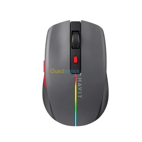 SOURIS HAVIT SANS FIL