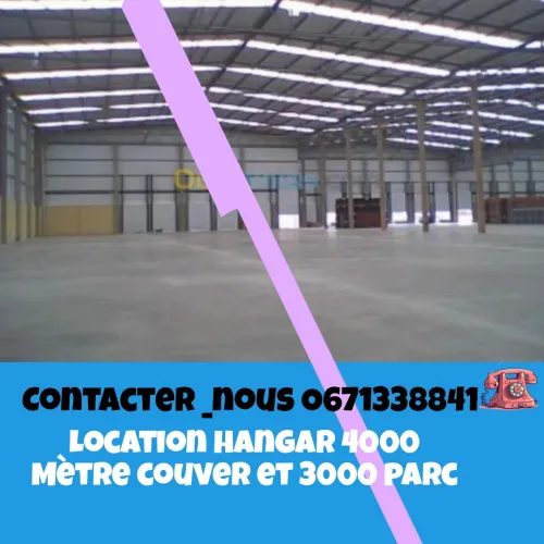 Location Hangar Alger Les eucalyptus