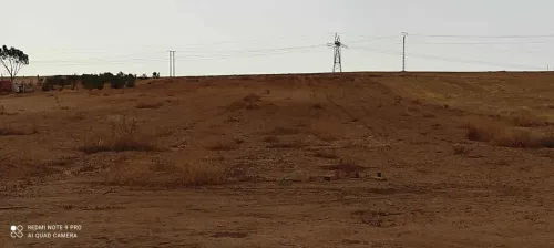 Vente Terrain Sidi Bel Abbès Tilmouni