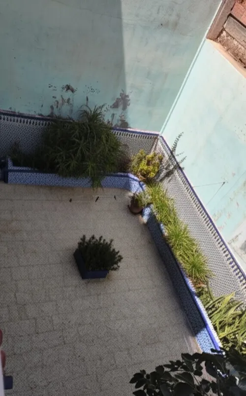 Vente Villa Aïn Témouchent Bou zedjar