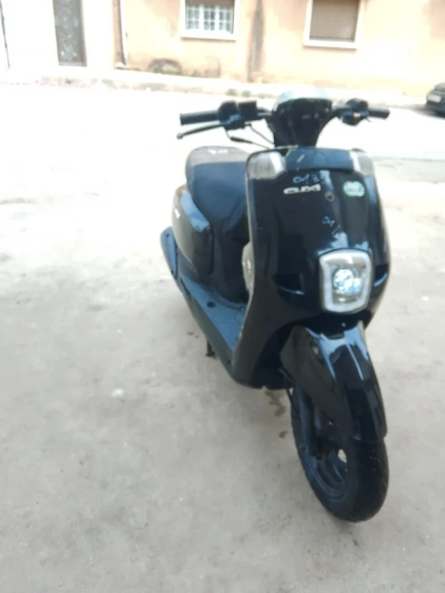Cuxi Vms 2019