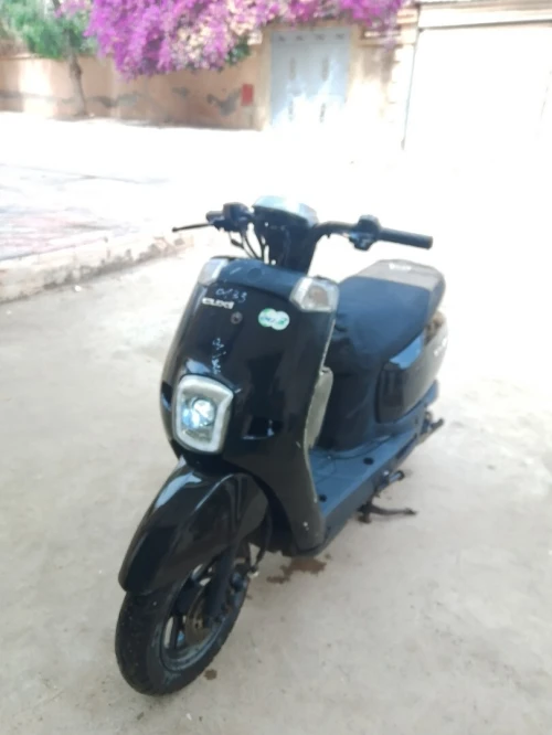 Cuxi Vms 2019