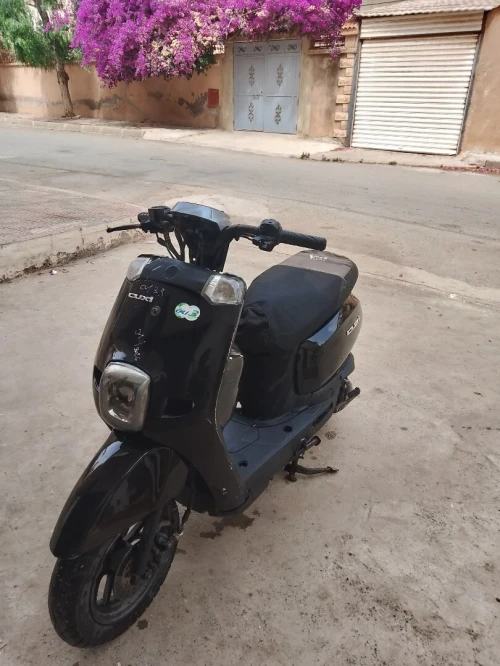 Cuxi Vms 2019