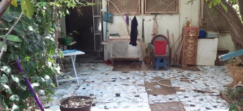 Vente Terrain Saïda Ain el hadjar