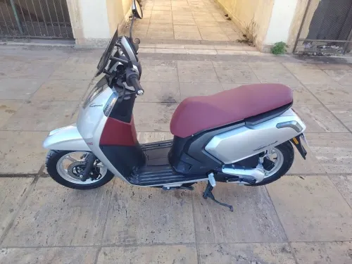 Vms Gemma 2025