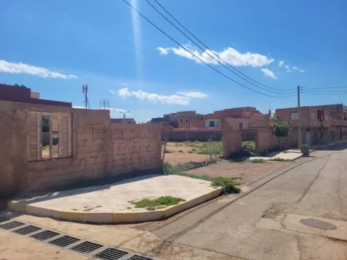 Vente Terrain Oran Sidi benyebka