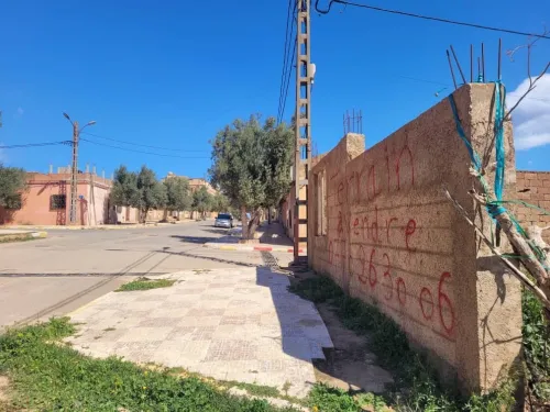 Vente Terrain Oran Sidi benyebka