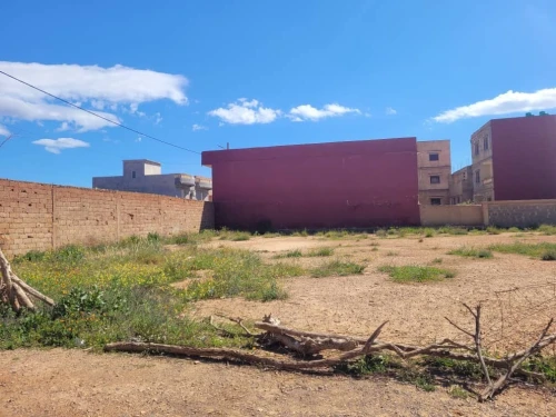 Vente Terrain Oran Sidi benyebka