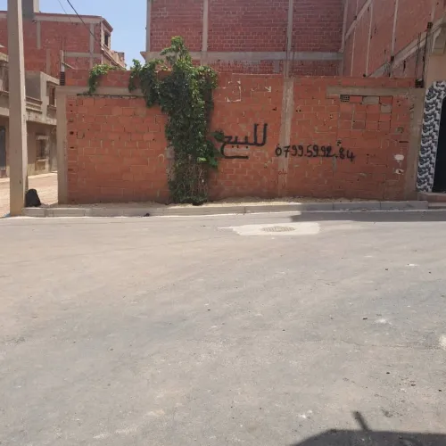 Vente Terrain Tlemcen Souahlia