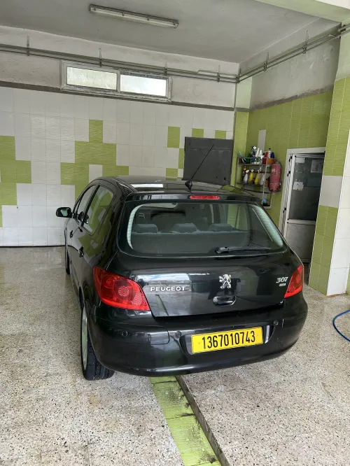 Peugeot 307 2007 XT