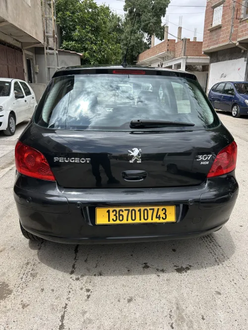 Peugeot 307 2007 XT