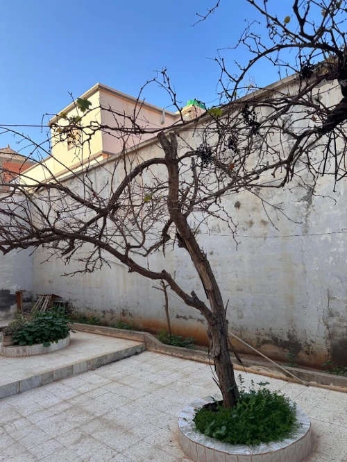 Vente Villa Mascara Zahana