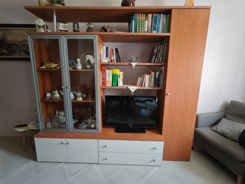 Meuble TV bibliothèque salon 225x55 cm
