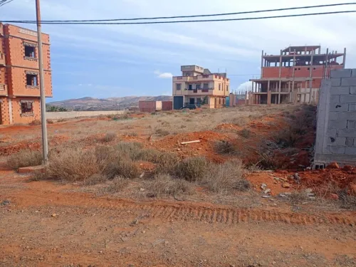 Vente Terrain Tlemcen Honaine