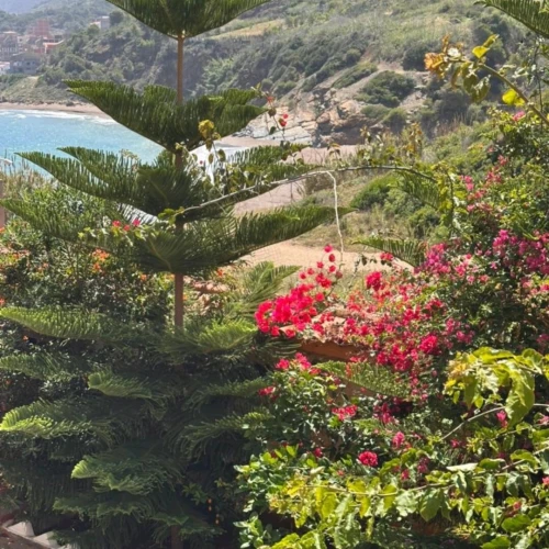 Vente Villa Tipaza Larhat