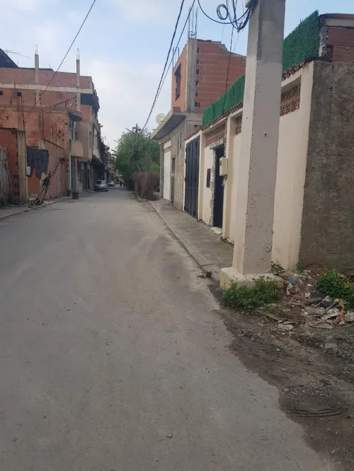 Vente Terrain Blida Ben khellil
