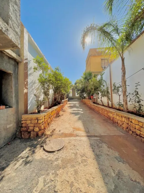 Vente Terrain Tipaza Kolea