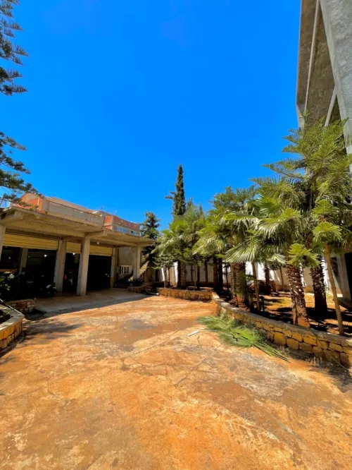 Vente Terrain Tipaza Kolea